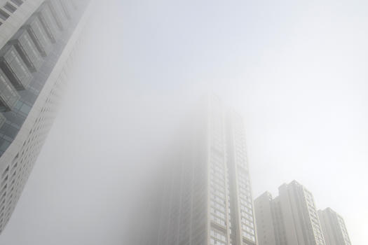 雾霾里的冬天图片素材免费下载