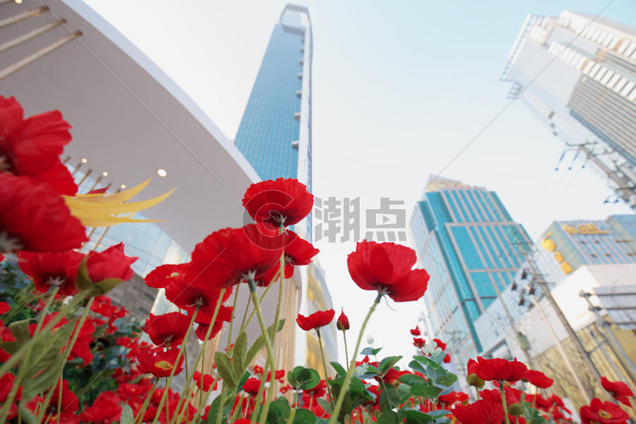 中国新年春节城市街道图片素材免费下载