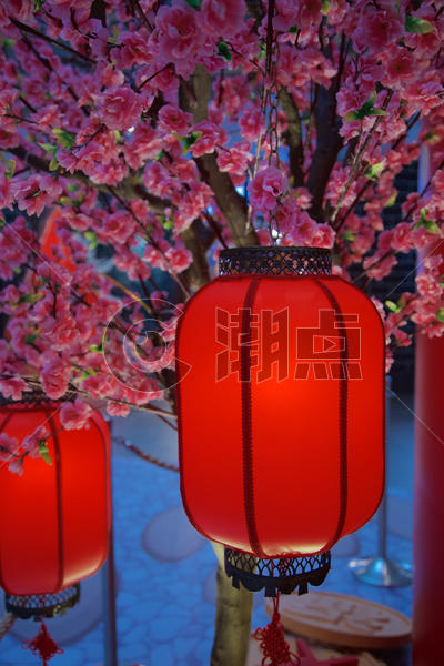 中国新年春节图片素材免费下载