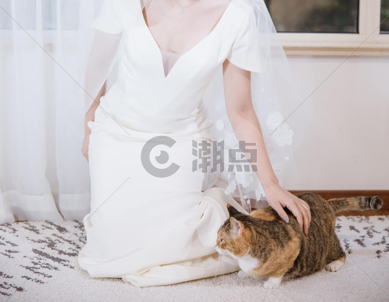穿白色婚纱的女人抚摸猫图片素材免费下载