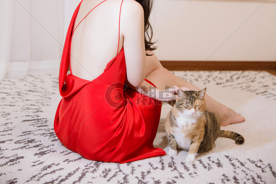 穿红色剪裁礼服女人与猫图片素材免费下载
