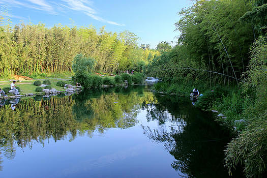 西湖植物园图片素材免费下载