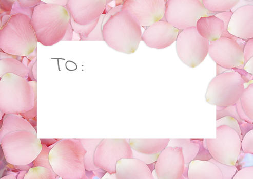 花瓣中央的情人节卡片图片素材免费下载