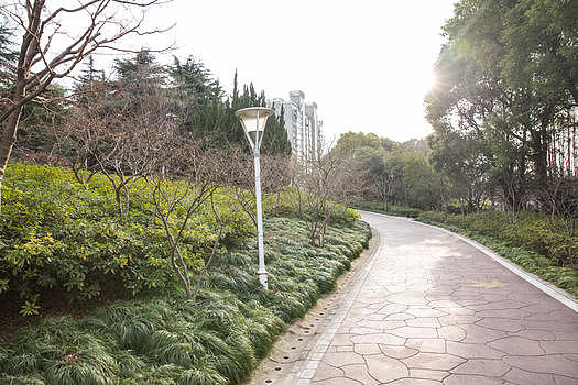 城市公园阳光绿植石路图片素材免费下载