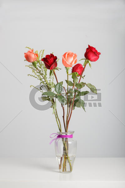 情人节一瓶玫瑰花图片素材免费下载