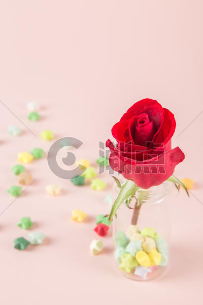 创意瓶子里的红玫瑰图片素材免费下载