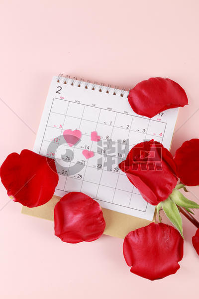 情人节红色玫瑰日历图片素材免费下载
