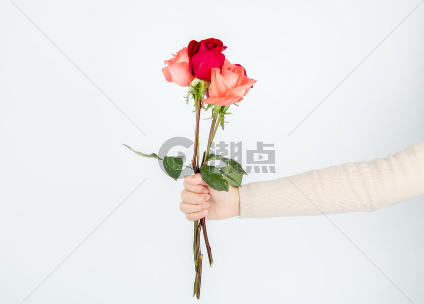 手拿玫瑰情人节爱情图片素材免费下载
