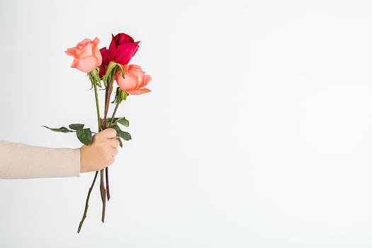 520情人节送一束玫瑰花图片素材免费下载