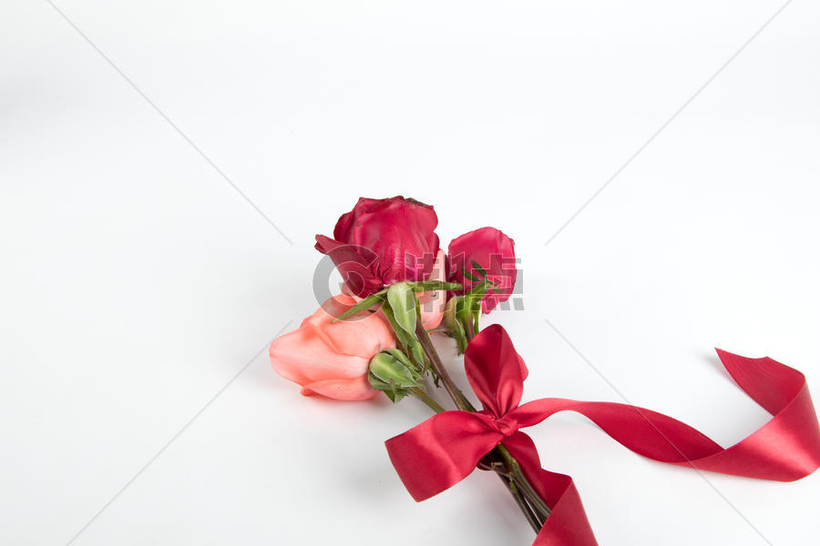 520一束玫瑰花图片素材免费下载