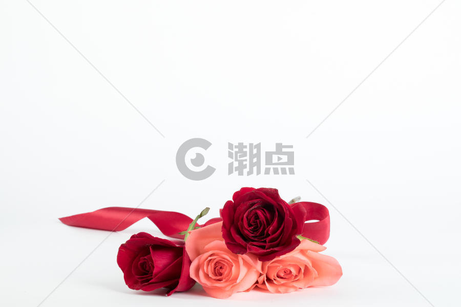 一束玫瑰花图片素材免费下载