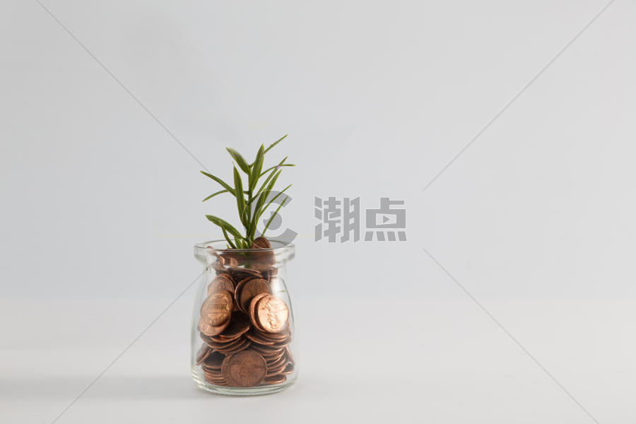 钱币和植物图片素材免费下载