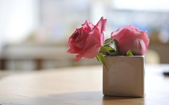 情人节的玫瑰与咖啡图片素材免费下载