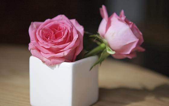 情人节的玫瑰与咖啡图片素材免费下载