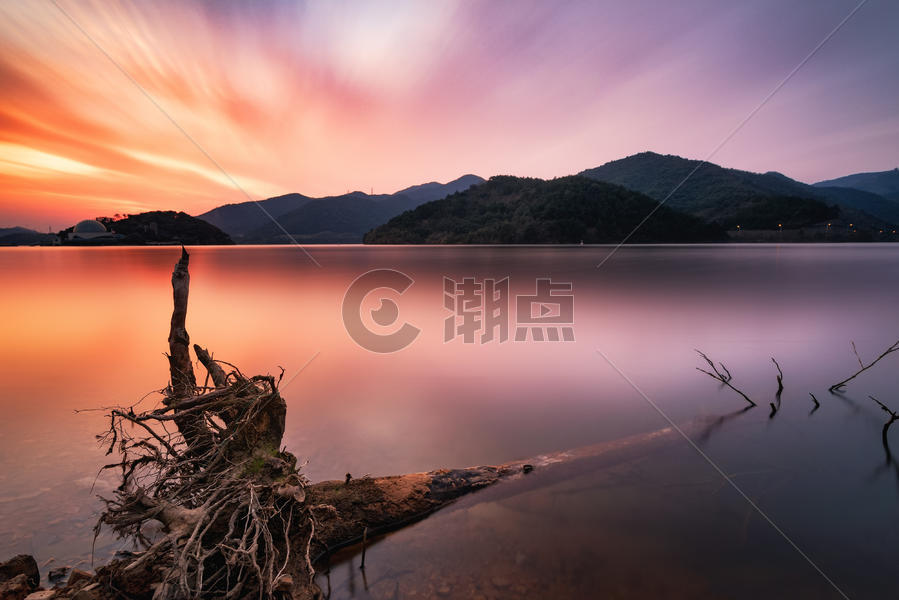 彩霞中湖边的树根图片素材免费下载