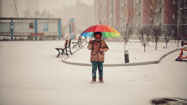 北京的春雪图片素材免费下载