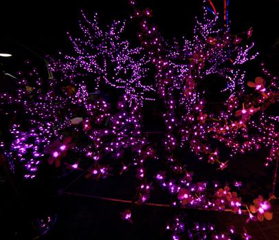 杭州西湖雷峰塔灯光璀璨图片素材免费下载