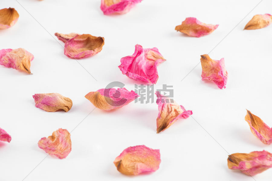 玫瑰花瓣唇印创意摆拍图片素材免费下载