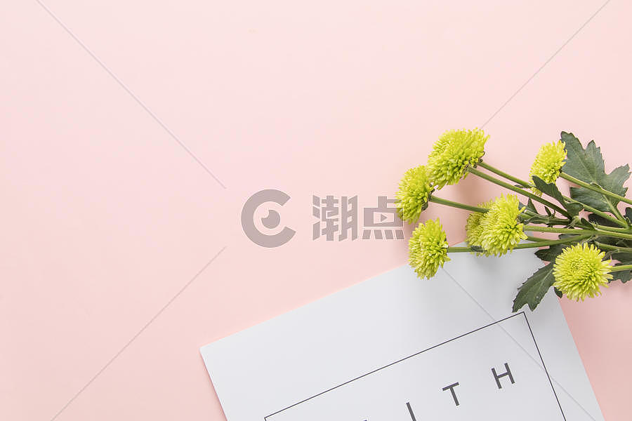 小清新粉色雏菊文艺背景图片素材免费下载