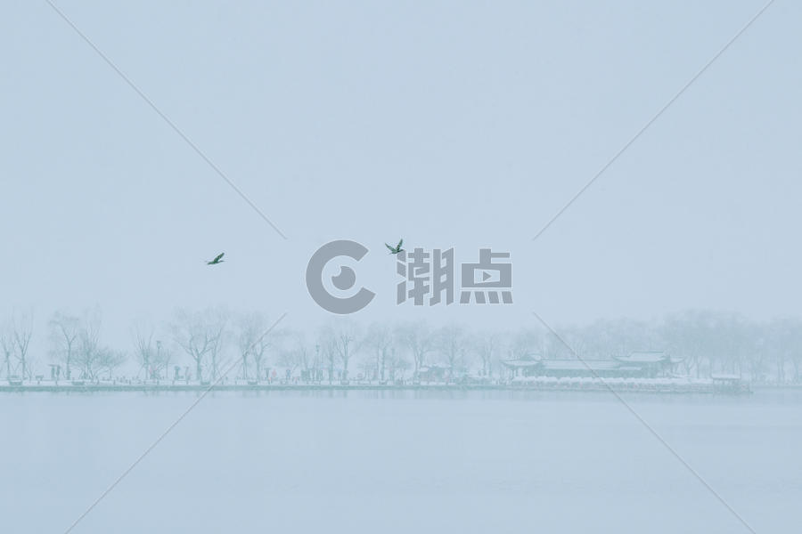 冬天雪景 背景 极简 园林图片素材免费下载