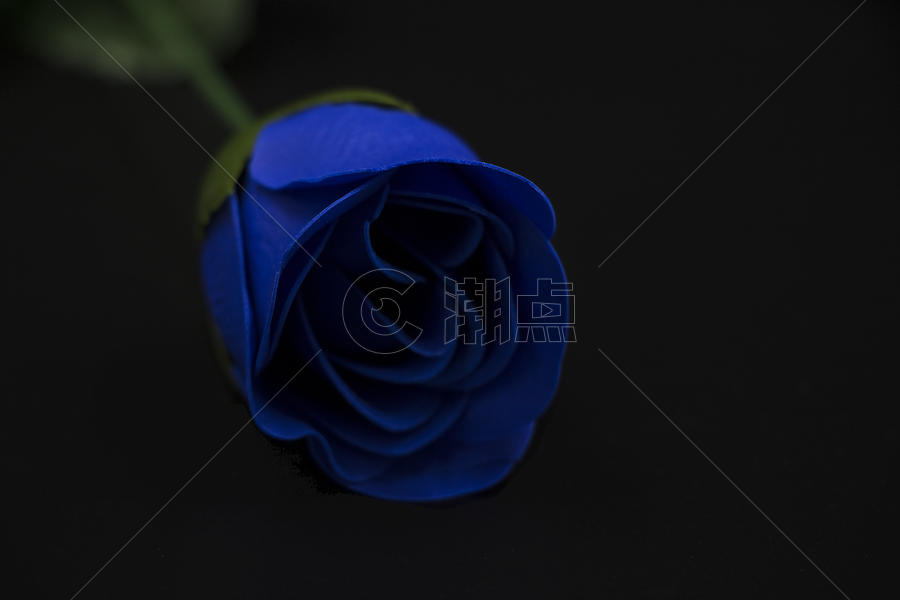 浪漫的蓝色玫瑰花图片素材免费下载