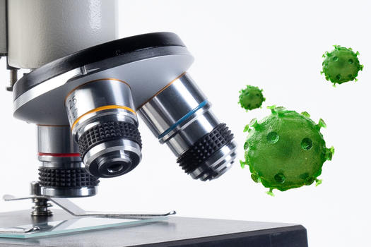 显微镜下的细胞真菌生物结构图片素材免费下载