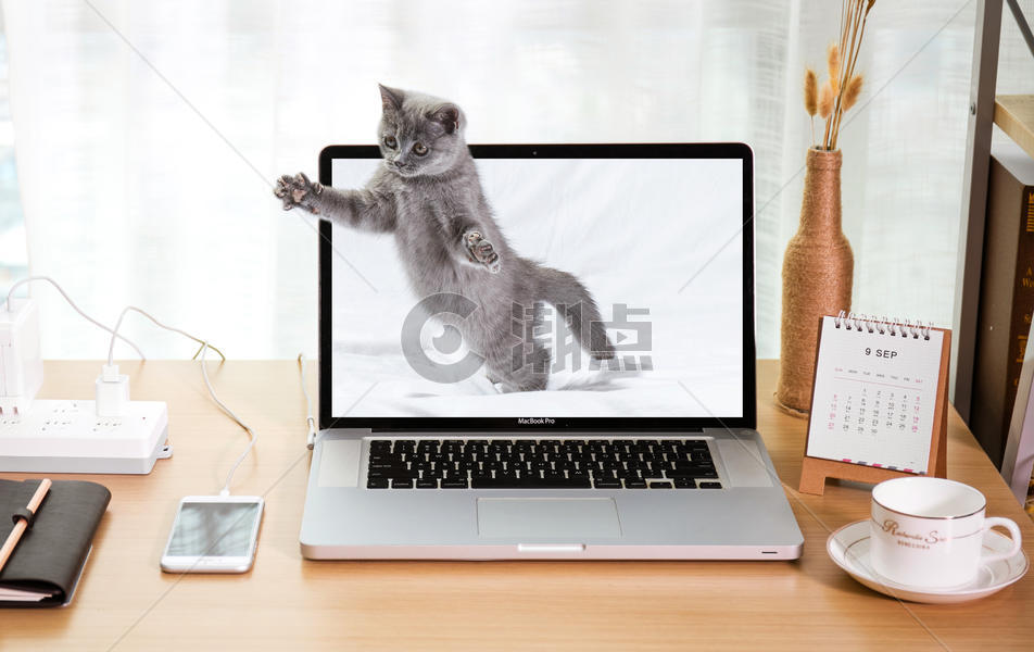 小猫钻出电脑屏幕自然与科技结合图片素材免费下载