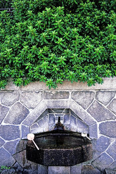 日式庭院小景图片素材免费下载