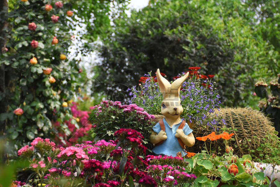 花丛中的兔子图片素材免费下载