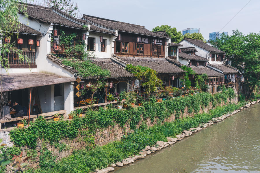 杭州小河边的植被图片素材免费下载