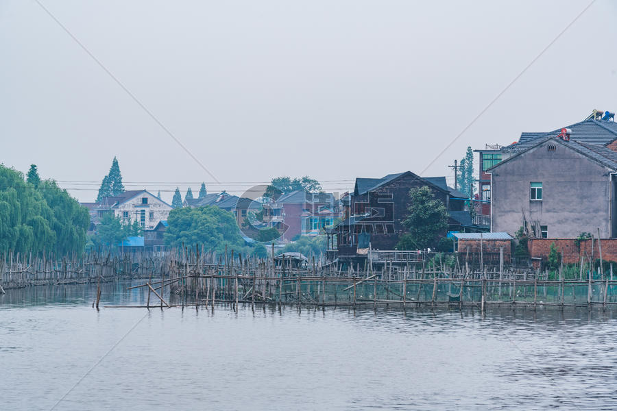 德清下渚湖湿地图片素材免费下载