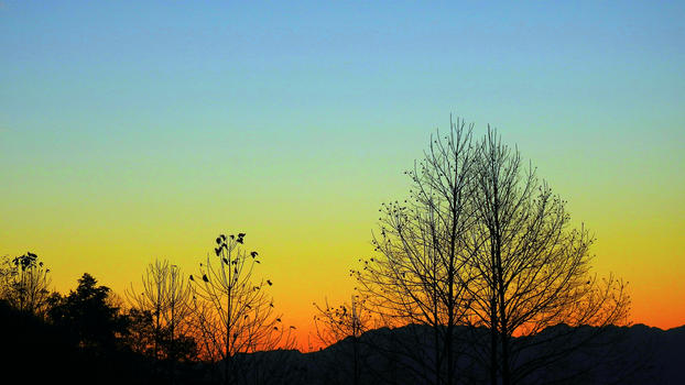 腾冲傍晚余晖落日夕阳晚霞下的树图片素材免费下载