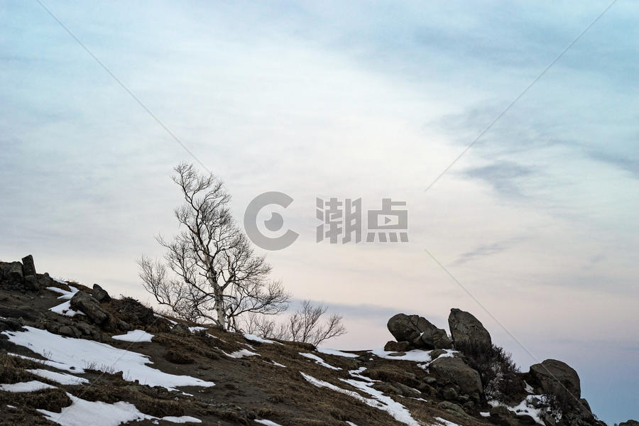 北京三月雪图片素材免费下载