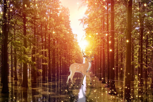 森林里的鹿精灵幻化成星河图片素材免费下载