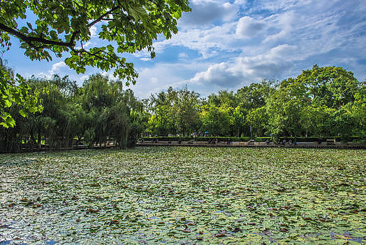 绿色湿地公园图片素材免费下载
