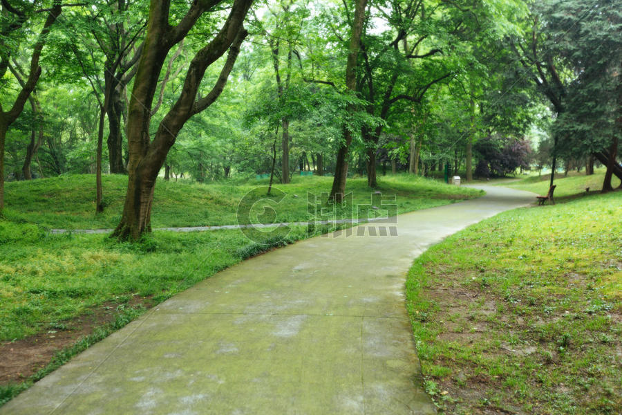 植物园休闲绿色风景图片素材免费下载