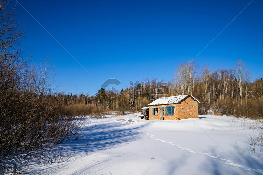 牡丹江雪乡的冬天白桦树下的雪地和红砖小屋图片素材免费下载