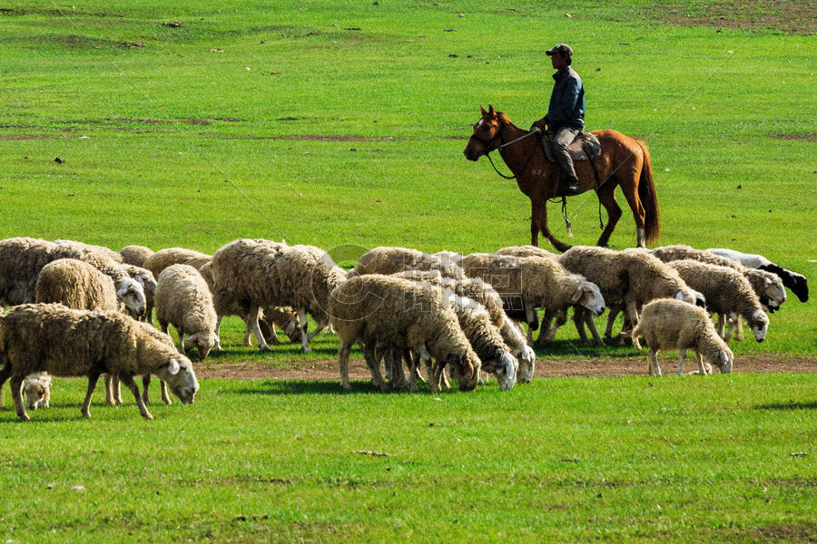 牧羊人图片素材免费下载