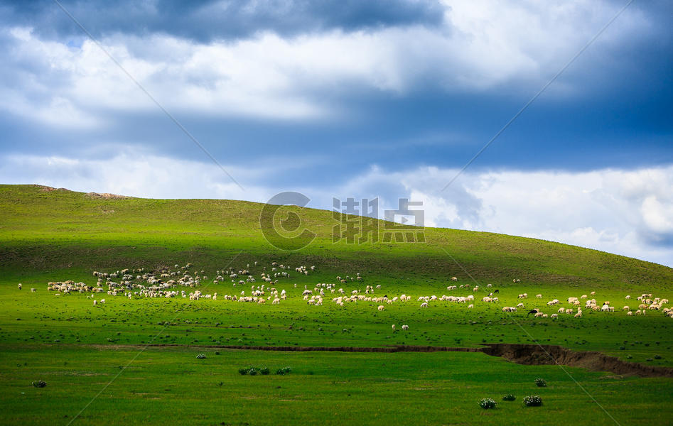 大草原上散落的羊群图片素材免费下载