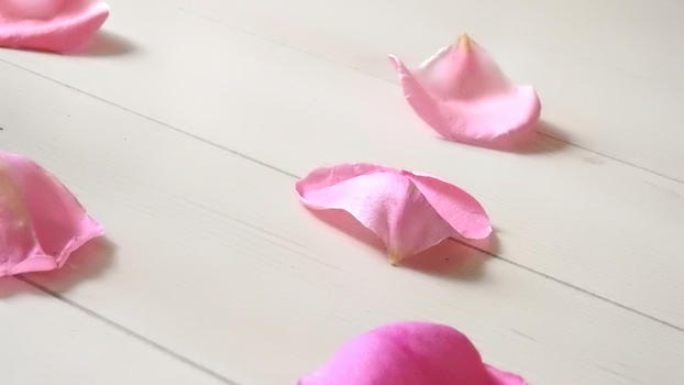 白色木地板上的粉色玫瑰花瓣图片素材免费下载