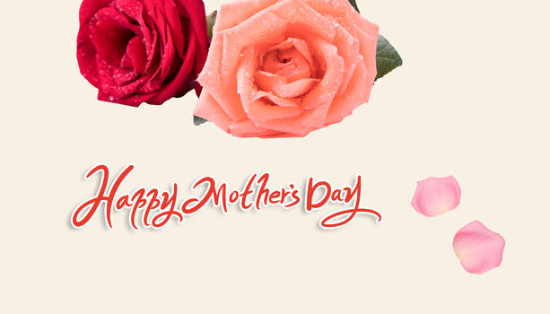 感恩母亲节玫瑰花图片素材免费下载