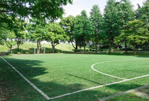 校园大学足球场草地绿的图片素材免费下载