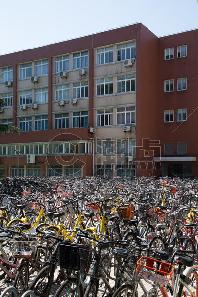 教学楼前的自行车图片素材免费下载