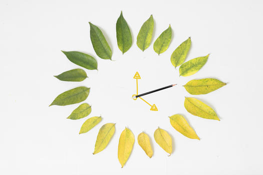 绿叶做的时钟图片素材免费下载