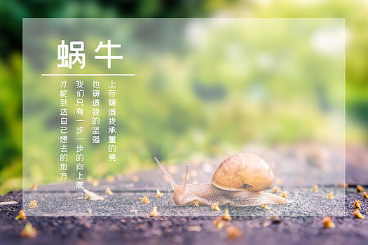 蜗牛励志海报图片素材免费下载