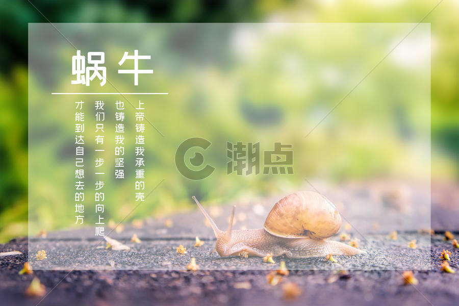 蜗牛励志海报图片素材免费下载