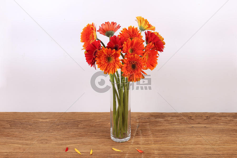 花瓶里的鲜花图片素材免费下载