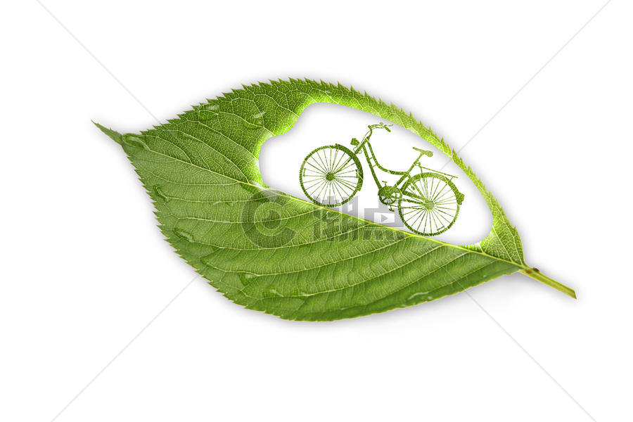树叶上的单车图片素材免费下载