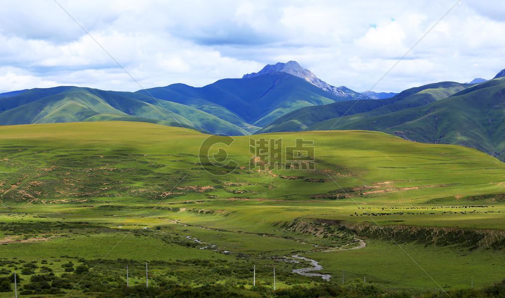 延绵辽阔的西藏草地图片素材免费下载