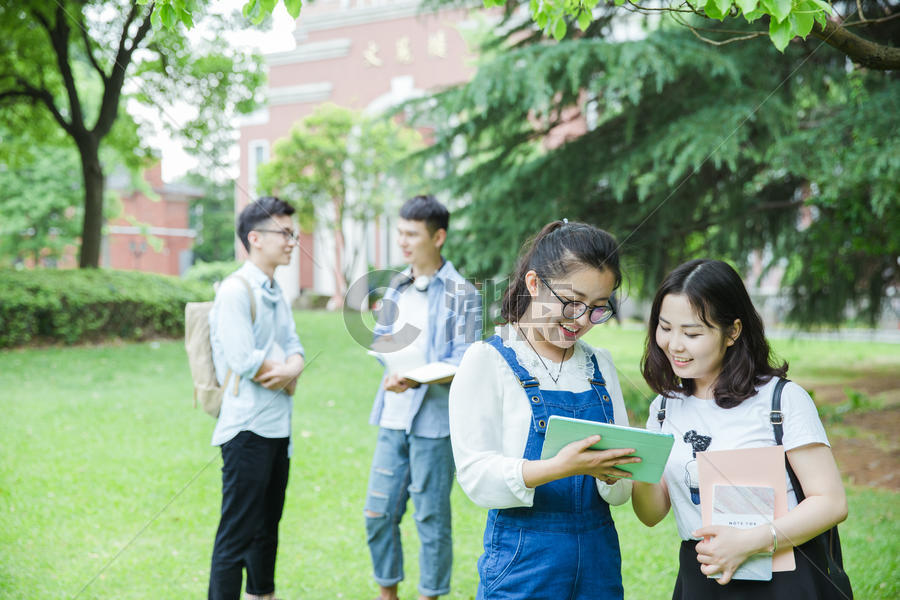 青春的大学生们在草地上讨论图片素材免费下载